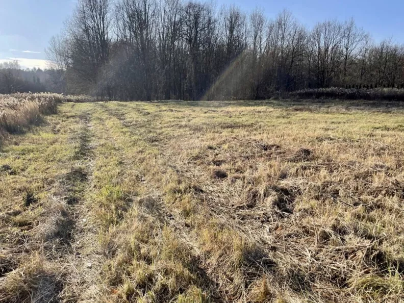 Działka 1 941,00 m², oferta nr , 834634, Truskaw, Południowa