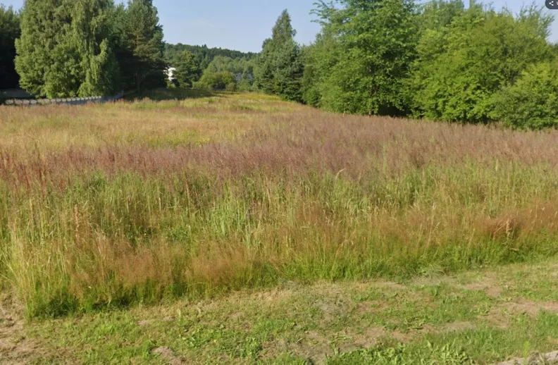 Działka 9 600,00 m², oferta nr , 837886, Zagnańsk, Siodła