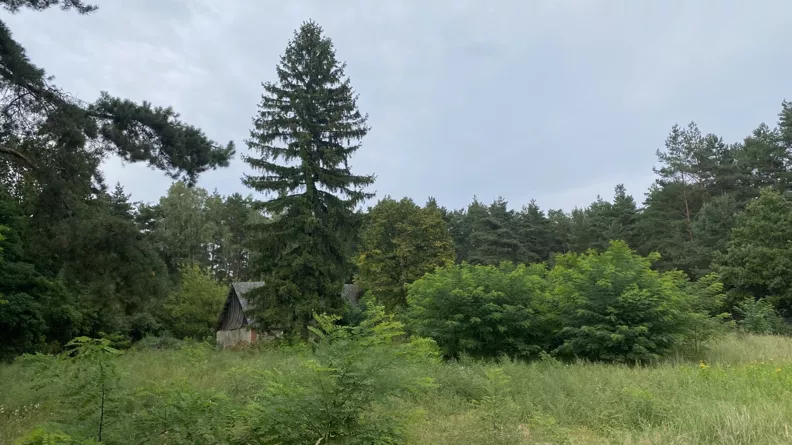 Działka 3 547,00 m², oferta nr , 837556, Pobiedziska, Wiewiórcza