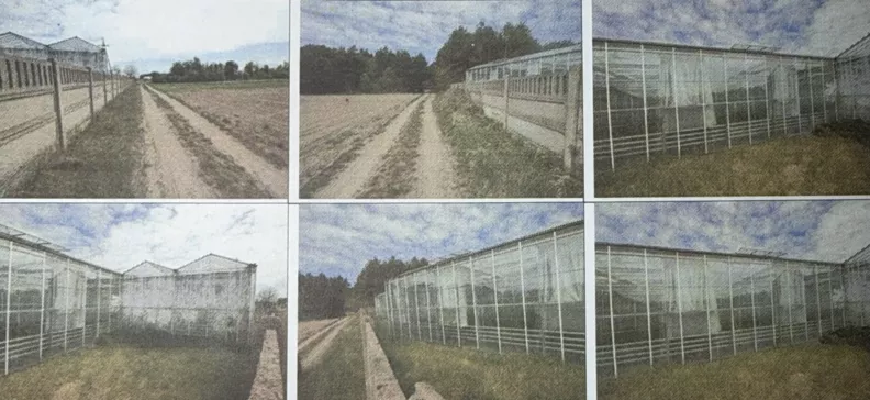 Obiekt 4 597,00 m², oferta nr , 838028, Rybna, Prosta