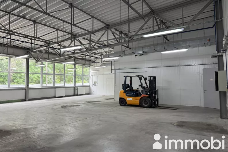 Lokal użytkowy 228,00 m², oferta nr , 3/8647/OHW, Warszawa, Białołęka, Białołęka, Szałwiowa