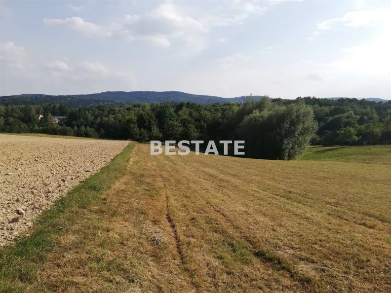 Działka 5 300,00 m², oferta nr , BEST-GS-13154, Ryglice