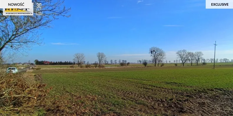 Działka 3 000,00 m², oferta nr , 3778/7376/OGS, Bielice