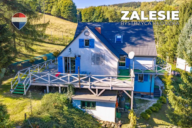 Dom 300,00 m², oferta nr , REMAX-73-DS-CBm8VfC6J0, Zalesie