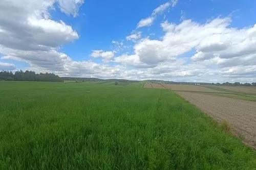 Działka 5 400,00 m², oferta nr , REMAX-215-GS-DUO001, Cholerzyn