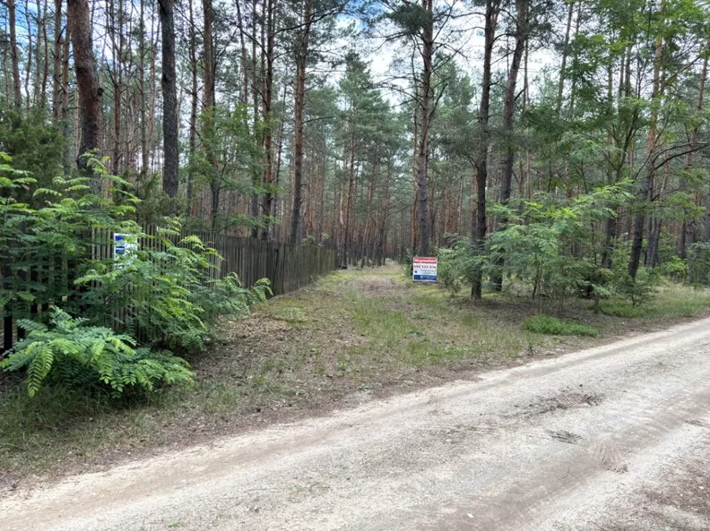 Działka 6 379,00 m², oferta nr , REMAX-224-GS-CITY, Rynia, Ignacego Paderewskiego