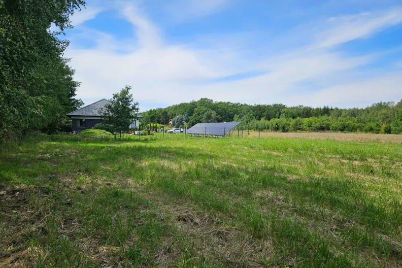 Działka 4 036,00 m², oferta nr , REMAX-1940/2037/OGS, Skierniewice, Kasztanowa