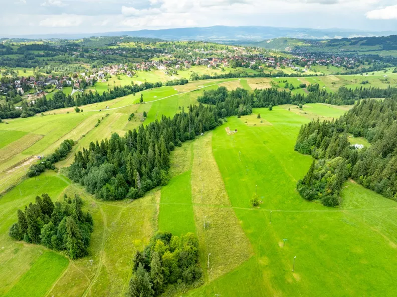 Działka 7 839,00 m², oferta nr , REMAX-2724/2680/OGS, Bukowina Tatrzańska, Leśna