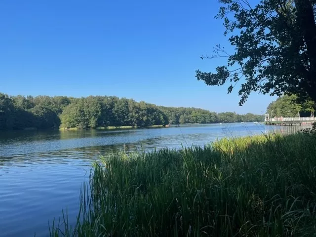 Działka 999,00 m², oferta nr , REMAX-519/5569/OGS, Czapielsk, Lubczykowa