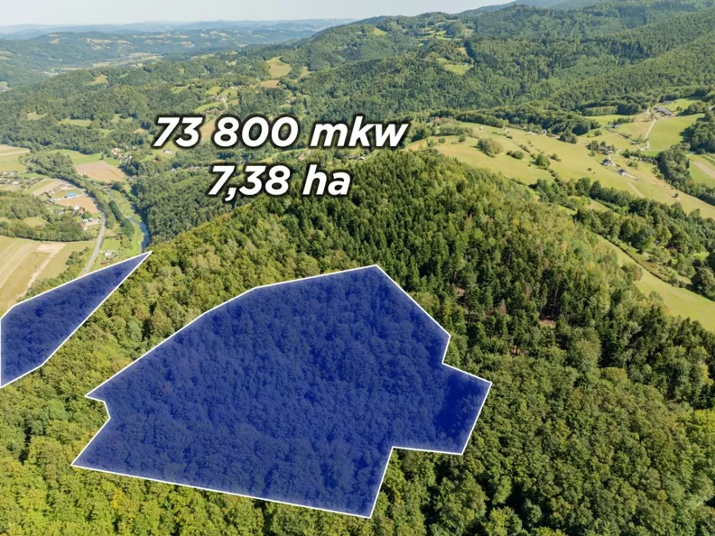 Działka 73 800,00 m², oferta nr , REMAX-202-GS-DUO001, Młynne