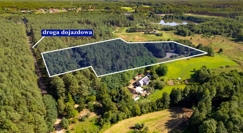 Działka 35 000,00 m², oferta nr , REMAX-100-GS-EXPERTS, Piłka