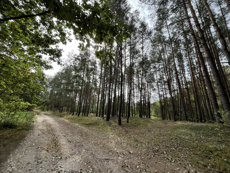 Działka 5 500,00 m², oferta nr , REMAX-143-GS-BEST, Pustelnik