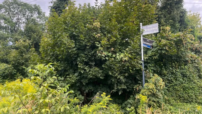 Działka 3 423,00 m², oferta nr , REMAX-148-GS-BEST, Poznań, Warszawskie-Pomet-Maltańskie, Warszawskie-Pomet-Maltańskie, Zaniemyska
