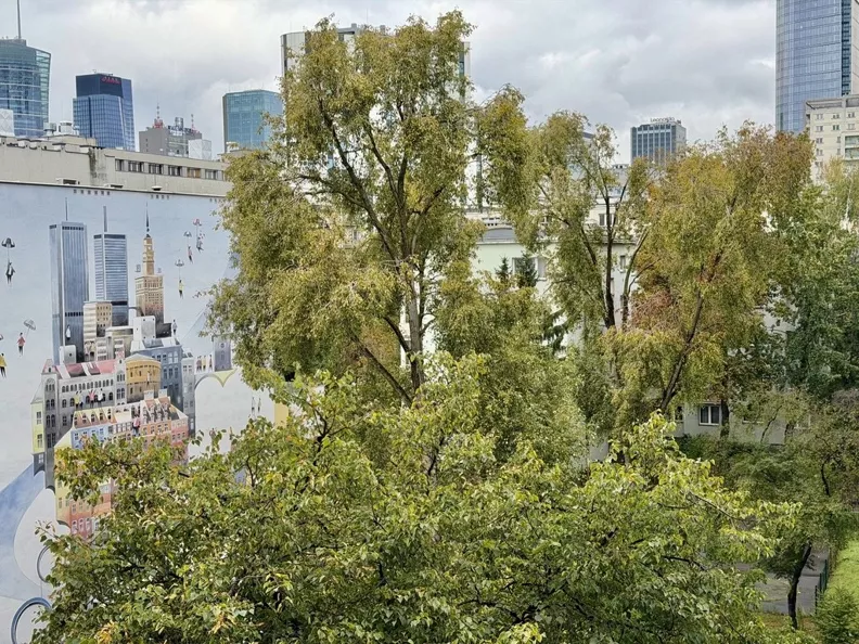 1 pokój, apartament 28,50 m², piętro 4, oferta nr , REMAX-160-MS-CITY, Warszawa, Chmielna