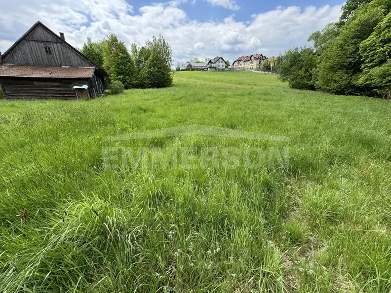 Działka 2 799,00 m², oferta nr , 3279/6342/OGS, Głogoczów