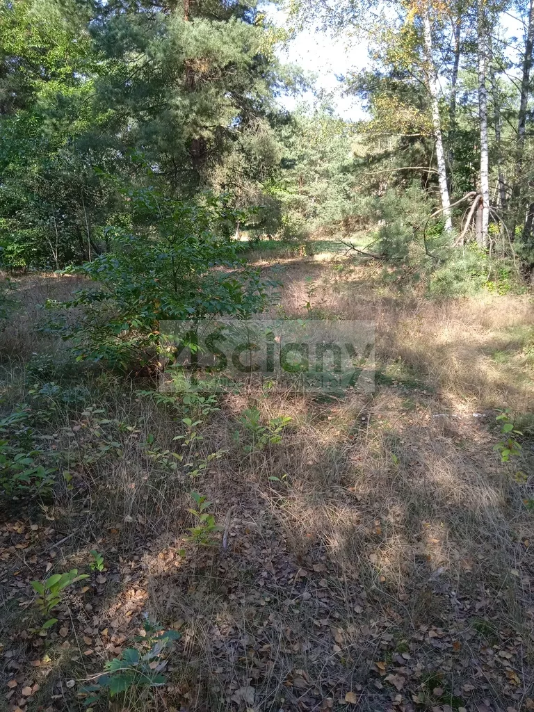Działka 1 490,00 m², oferta nr , 9416/3098/OGS, Chotomów