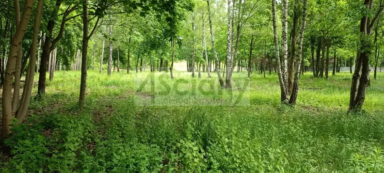 Działka 10 626,00 m², oferta nr , 8159/3098/OGS, Grodzisk Mazowiecki