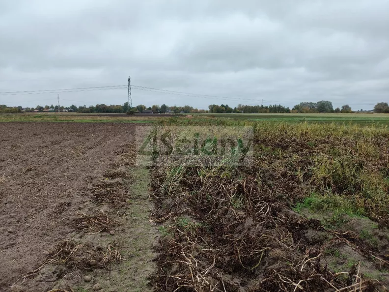 Działka 1 072,00 m², oferta nr , 10663/3098/OGS, Kampinos A
