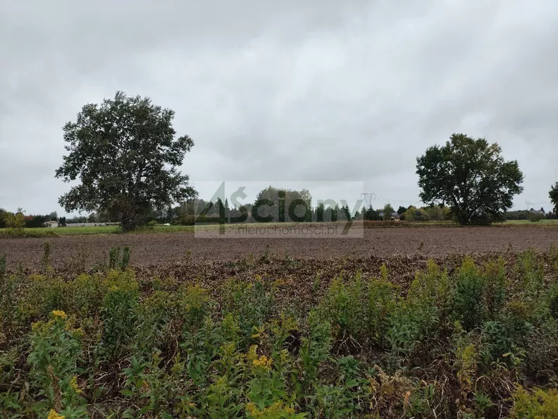 Działka 3 327,00 m², oferta nr , 10673/3098/OGS, Kampinos A
