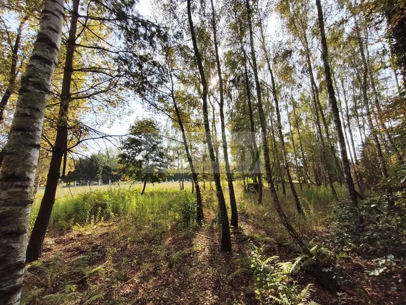 Działka 2 385,00 m², oferta nr , 10570/3098/OGS, Kierszek