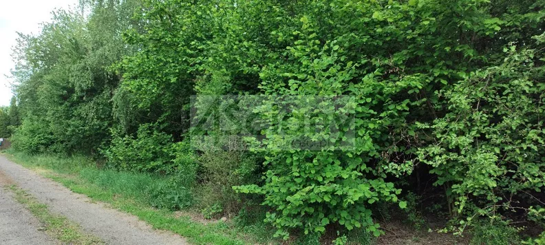 Działka 1 000,00 m², oferta nr , 9482/3098/OGS, Krupia Wólka