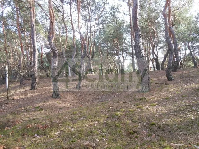 Działka 1 705,00 m², oferta nr , 10521/3098/OGS, Legionowo
