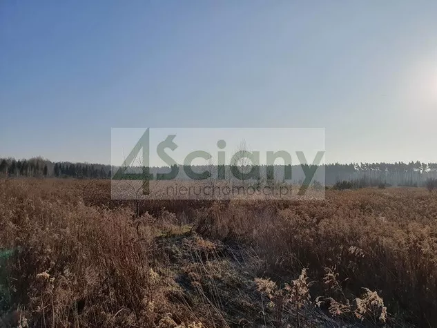 Działka 9 900,00 m², oferta nr , 7673/3098/OGS, Łoś