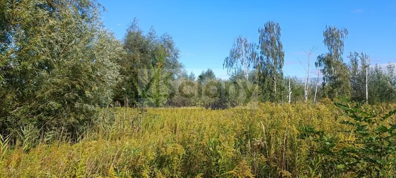 Działka 1 800,00 m², oferta nr , 10640/3098/OGS, Michałowice-Wieś