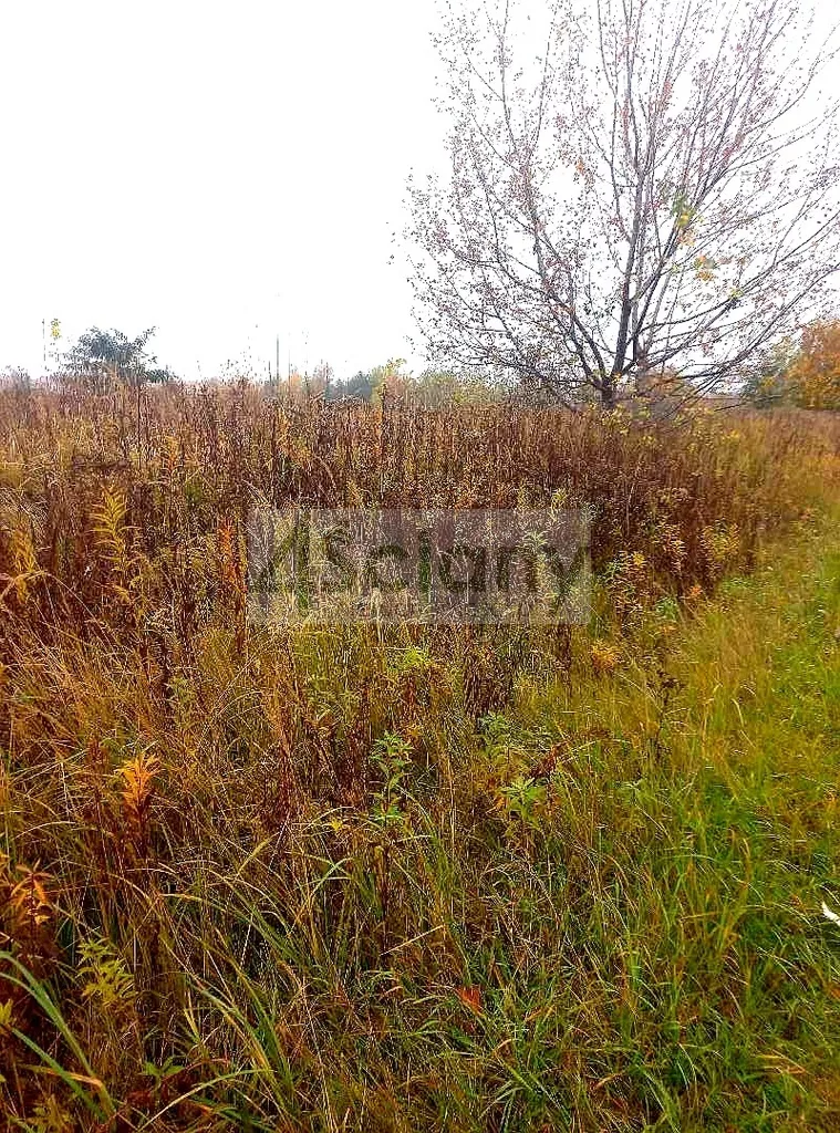 Działka 1 140,00 m², oferta nr , 10689/3098/OGS, Raszyn