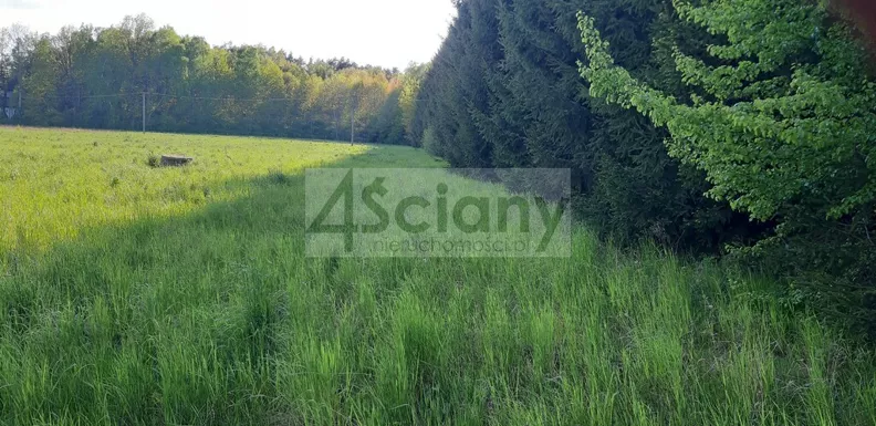 Działka 2 190,00 m², oferta nr , 10664/3098/OGS, Rusiec
