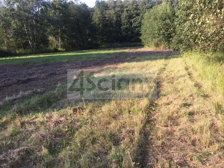 Działka 1 500,00 m², oferta nr , 10348/3098/OGS, Sierzchów