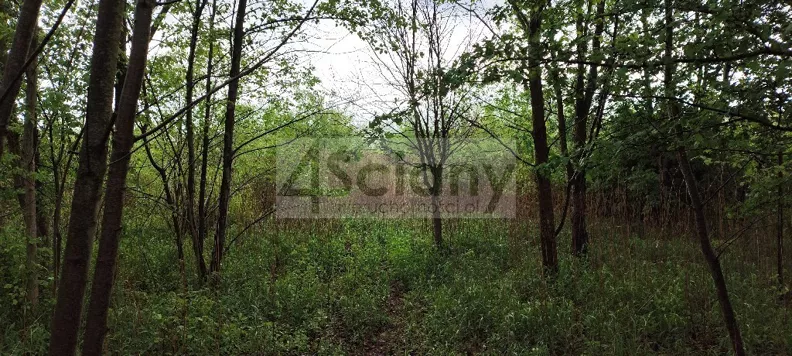 Działka 1 274,00 m², oferta nr , 10164/3098/OGS, Stanisławów Drugi