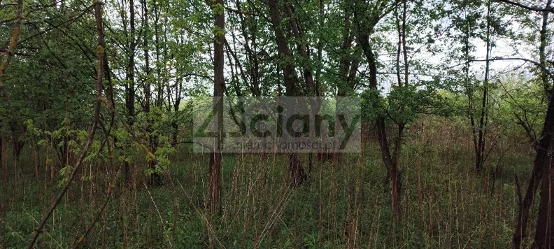 Działka 999,00 m², oferta nr , 10177/3098/OGS, Stanisławów Drugi