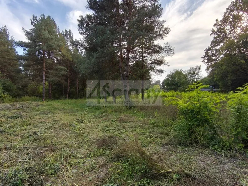 Działka 1 500,00 m², oferta nr , 10562/3098/OGS, Szczęsne