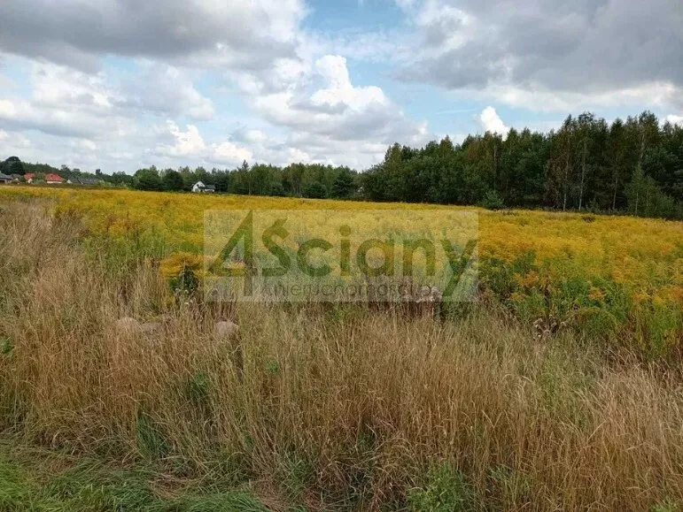 Działka 804,00 m², oferta nr , 10279/3098/OGS, Wola Mrokowska