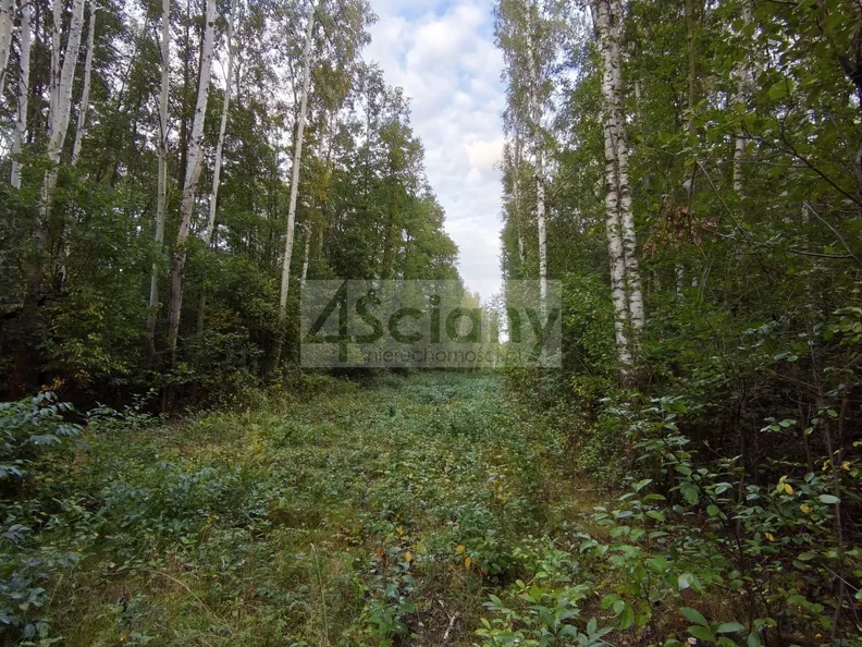 Działka 4 511,00 m², oferta nr , 10660/3098/OGS, Wycinki Osowskie
