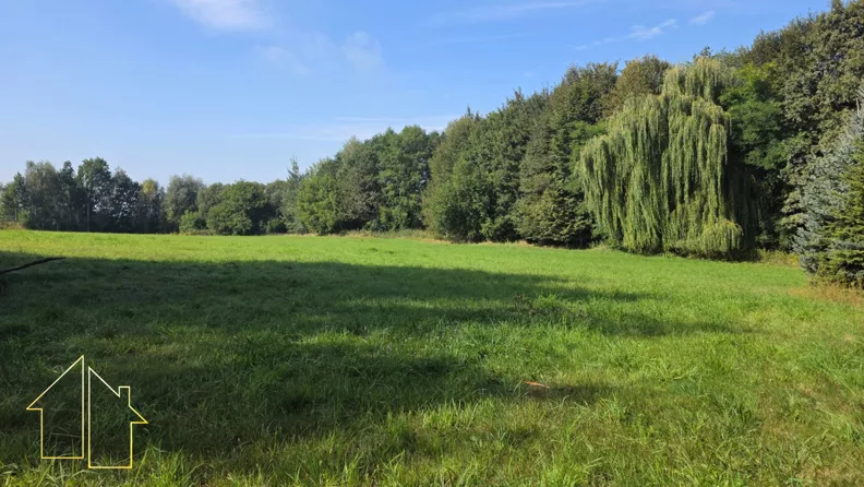 Działka 1 205,00 m², oferta nr , 311-GS-FYsfc4UjoL, Wodzisław Śląski, Oraczy