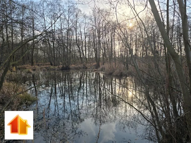 Działka 3 368,00 m², oferta nr , APO-GS-51531, Strzałki