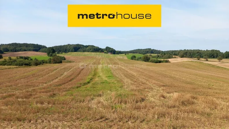 Działka 52 156,00 m², oferta nr , SGRIDO705, Brzeźno Szlacheckie
