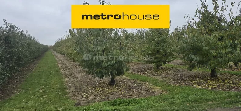 Działka 3 300,00 m², oferta nr , SGVOKY423, Gusin