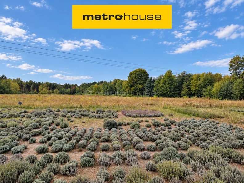 Działka 35 756,00 m², oferta nr , SGCOSI822, Korabiewice