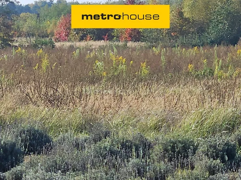 Działka 1 357,00 m², oferta nr , SGBATO848, Korabiewice