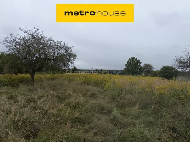 Działka 5 011,00 m², oferta nr , SGCERU352, Niegowonice, Lipowa