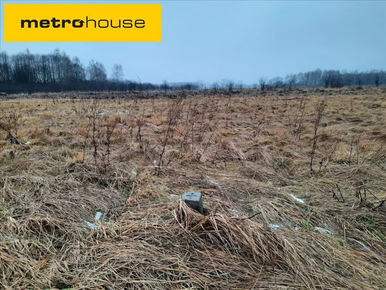 Działka 20 060,00 m², oferta nr , NIZI258, Podłężyce