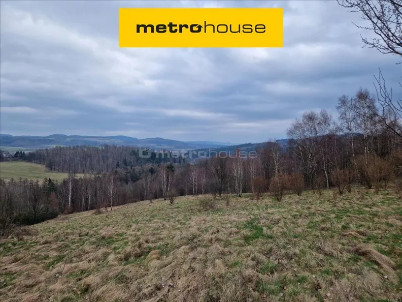 Działka 19 000,00 m², oferta nr , FILY831, Siedlęcin