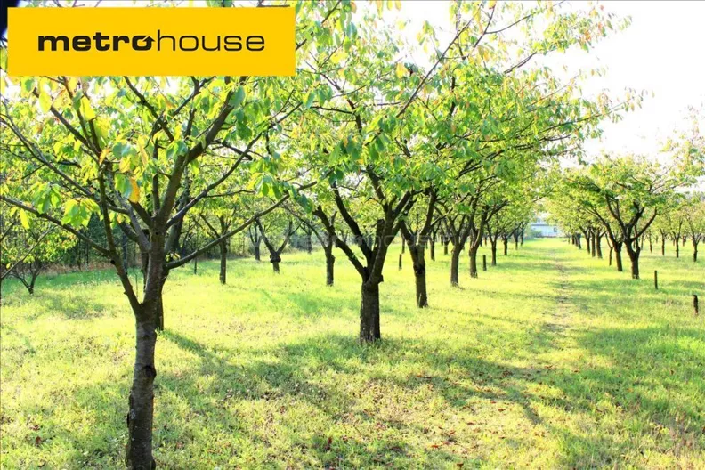 Działka 6 954,00 m², oferta nr , NUBE964, Tuszyn