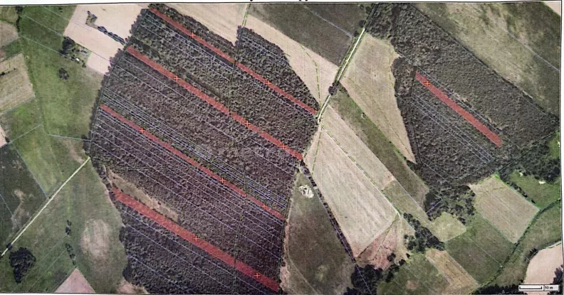 Działka 26 300,00 m², oferta nr , SGNILI465, Żmijewo-Ponki