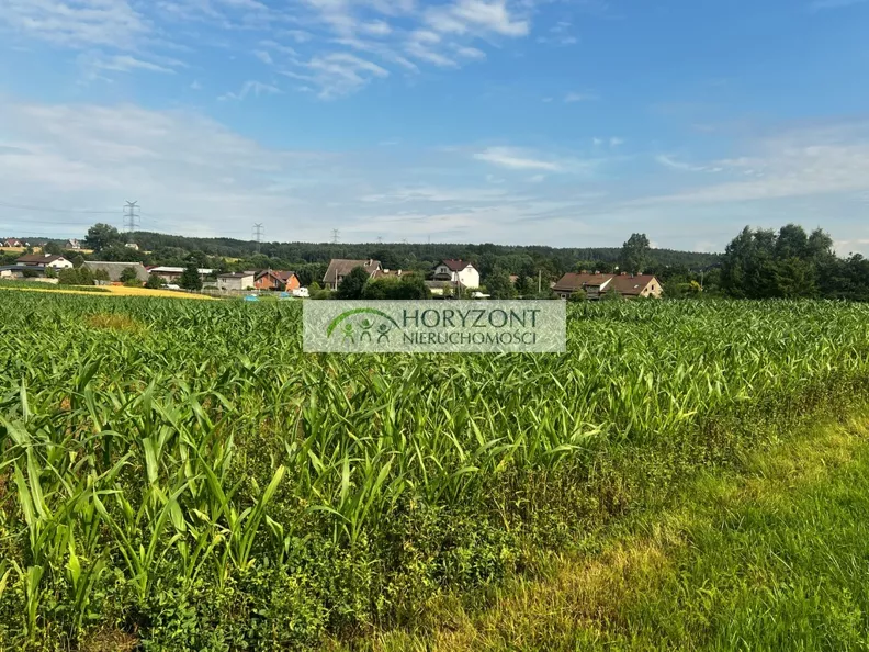 Działka 3 000,00 m², oferta nr , 5408/260/OGS, Niestępowo