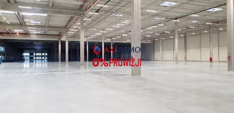 Magazyn 10 000,00 m², oferta nr , 11663, Piotrków Trybunalski