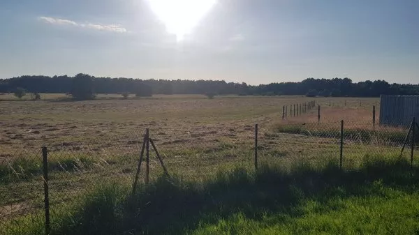 Działka 1 100,00 m², oferta nr , 18234/3470/OGS, Sarbsk